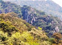 石韭岭之五彩~纷